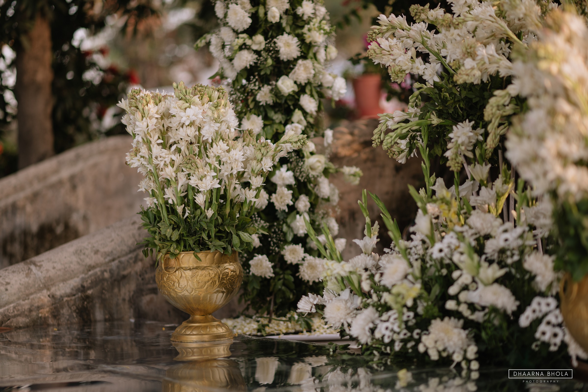 Image from Wedding - Samode Bagh